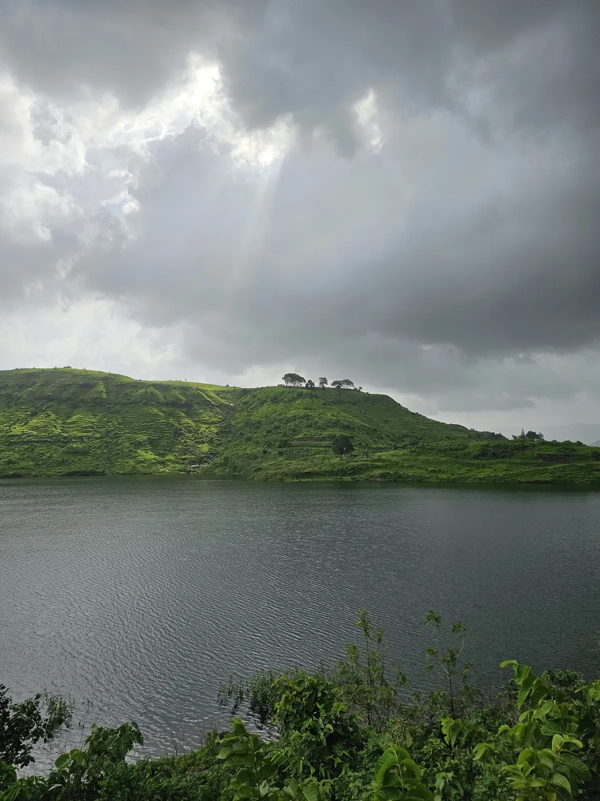 Aadrai Jungle Trek: What to Expect